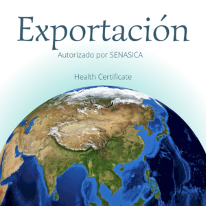 https://www.gob.mx/senasica/documentos/solicita-el-certificado-zoosanitario-para-exportacion-para-mascotas